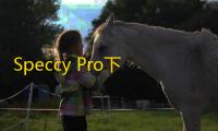 Speccy Pro下载(电脑硬件检测)